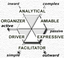 Analytical driver amiable expressive quiz