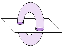 torus